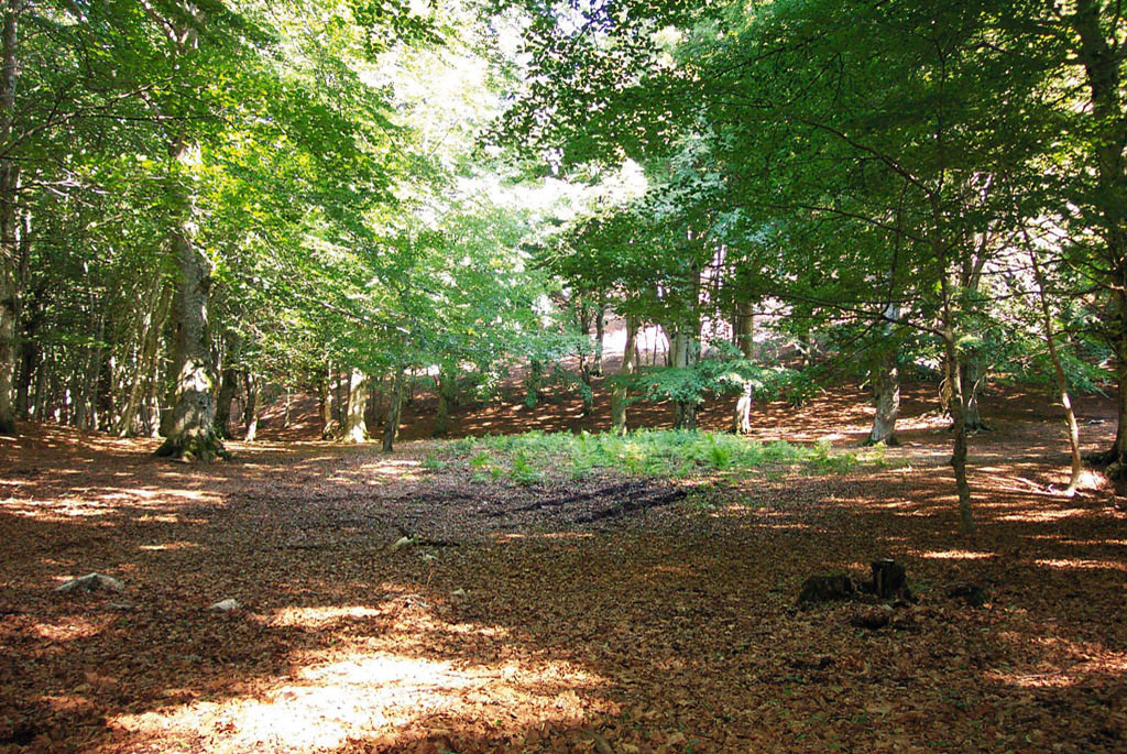 La Foresta Demaniale del Taburno - Campania Bellezza del Creato